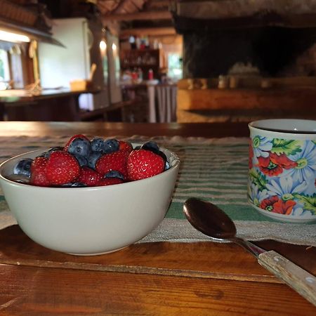 Tammese Anni Tourism Farm 빌라 외부 사진