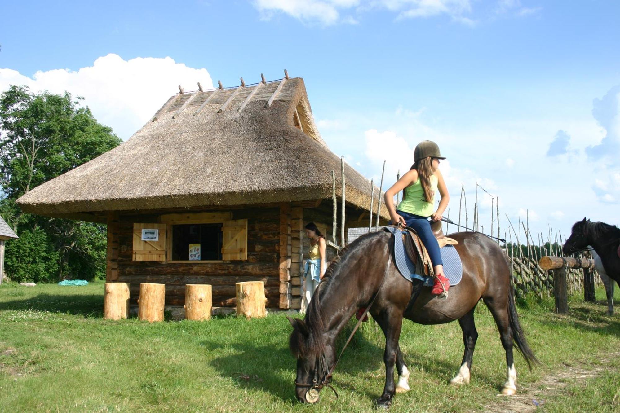 Tammese Anni Tourism Farm 빌라 외부 사진