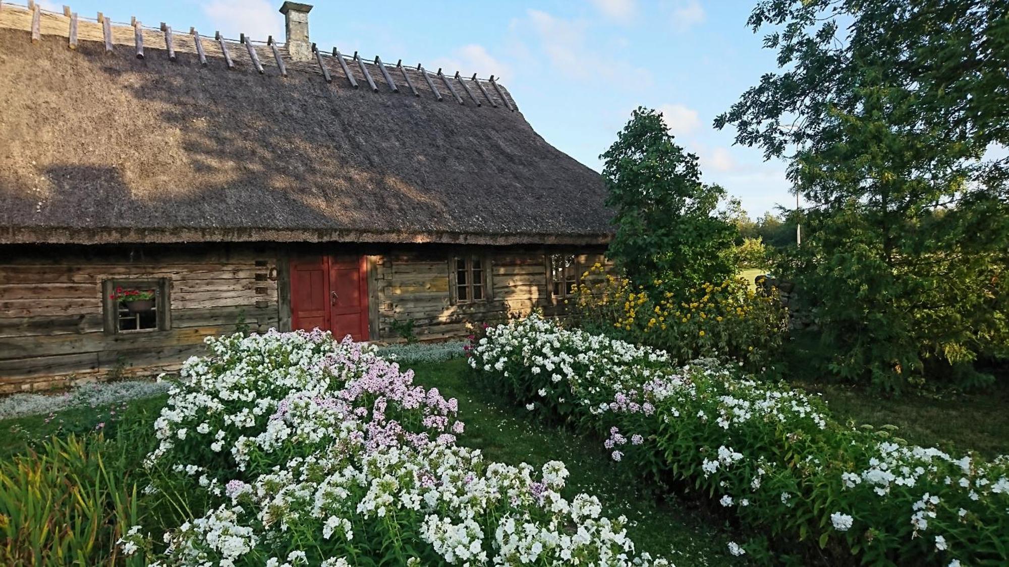 Tammese Anni Tourism Farm 빌라 외부 사진