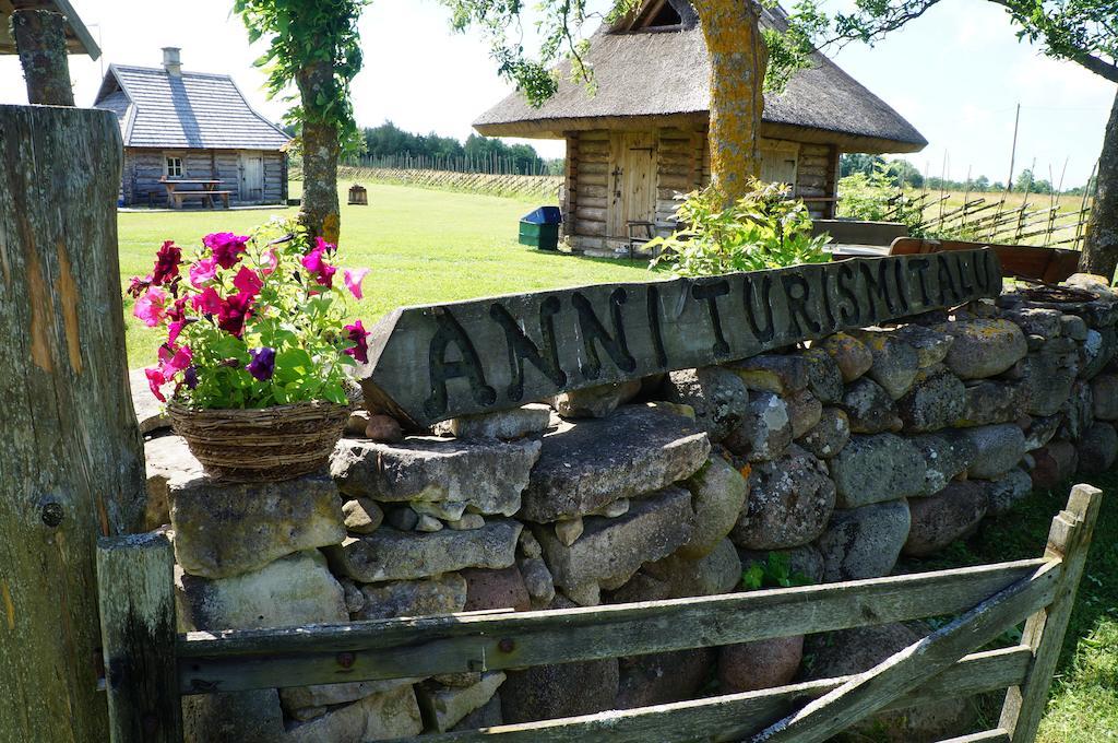 Tammese Anni Tourism Farm 빌라 외부 사진
